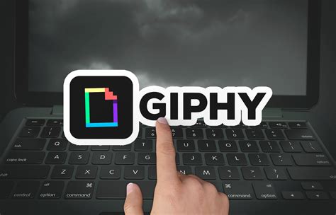 giphy|giphy download.